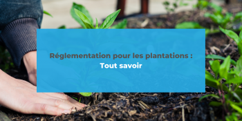 Réglementation pour les plantations